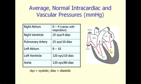 Normal Intracardiac Pressure - YouTube