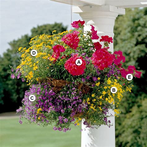 25 Gorgeous Hanging Basket Ideas to Dress Up Your Yard