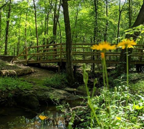 7 Stunning Hiking Trails in Huntsville Alabama