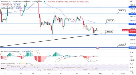 Bitcoin Price Prediction: Can BTC Break the $20,000 Resistance in 2023?