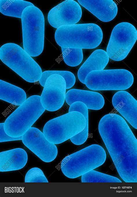 Blue Bacteria Image & Photo (Free Trial) | Bigstock