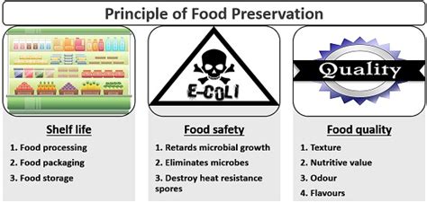 Food Preservation Techniques - Definition, Principle & Methods - Biology Reader