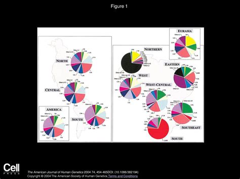 The African Diaspora: Mitochondrial DNA and the Atlantic Slave Trade - ppt download