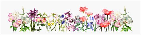 Flower Banner Clip Art Black And White