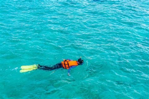 Free Photo | Snorkeling in tropical maldives island