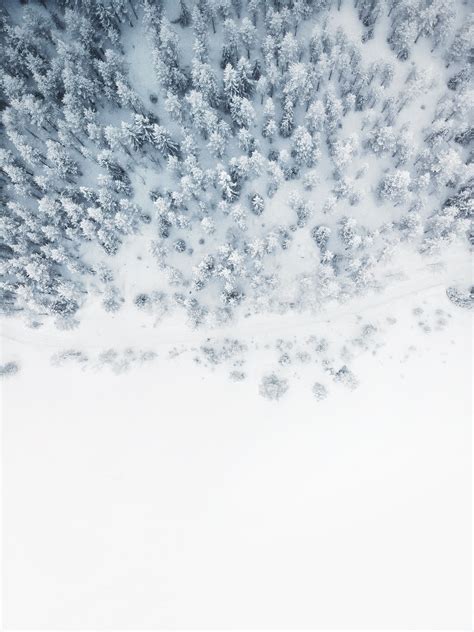 🔥 [20+] Winter Fun Wallpapers | WallpaperSafari