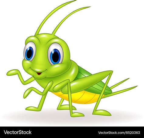 Cartoon cute green cricket isolated Royalty Free Vector