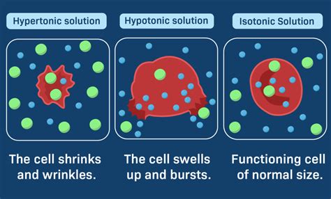 The Difference Between Hypertonic and Hyperosmotic Solutions Assessed