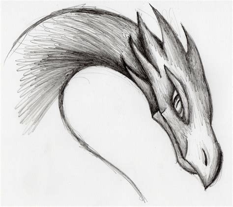 Dragon drawing by otto720 on DeviantArt