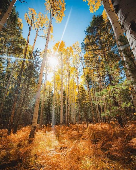 7 Arizona Autumn Photos That Will Make You Fall in Love With the State