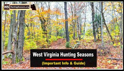 West Virginia Hunting Seasons 2024 New Dates & Regulations!