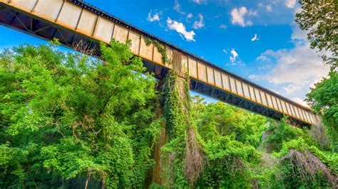 Train trestle passes through a rural area in Athens, Georgia, USA | Windows Spotlight Images