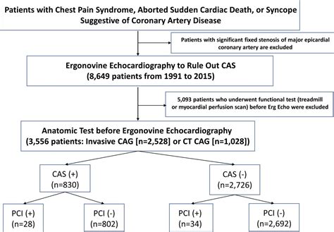 Percutaneous coronary intervention in patients with documented coronary ...