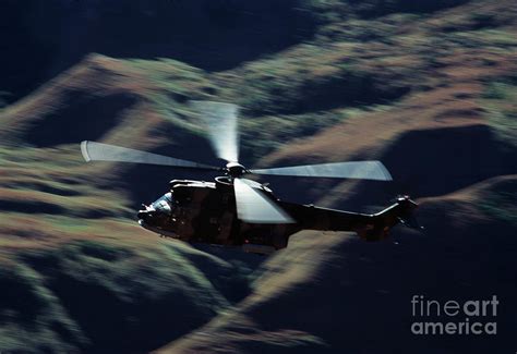 Oryx Helicopter Photograph by Peter Chadwick/science Photo Library - Fine Art America