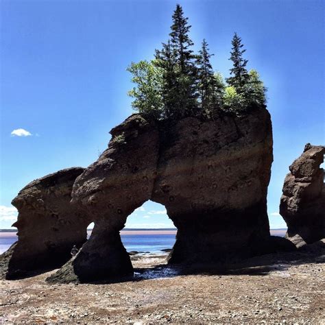 Hopewell Rocks, New Brunswick - with Kids - pint size pilot