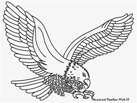 Gambar Mewarnai Gambar Burung Elang Eagle Kids Coloring Pages Siap Menangkap di Rebanas - Rebanas