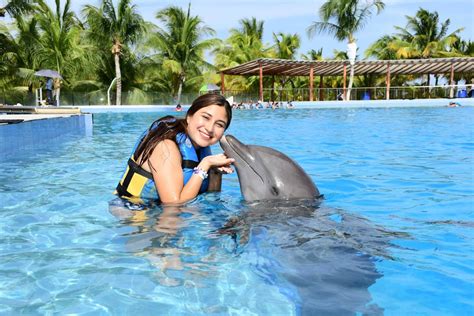 8 Recommendations Before Swimming with Dolphins in Cancun