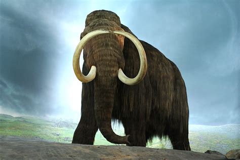 De-Extinction or Recreating Extinct Animals: Facts and Concerns - Owlcation