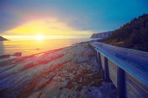 Premium Photo | Senja island at sunset wooden pathway on the rocky ...