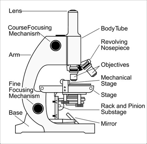 Binocular Microscope Sketch at PaintingValley.com | Explore collection of Binocular Microscope ...