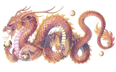 Top 30 hình nền động vật con rồng châu á ấn tượng cho máy tính | Chinese dragon drawing, Korean ...