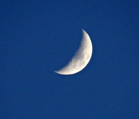 Quarter Moon Free Stock Photo - Public Domain Pictures