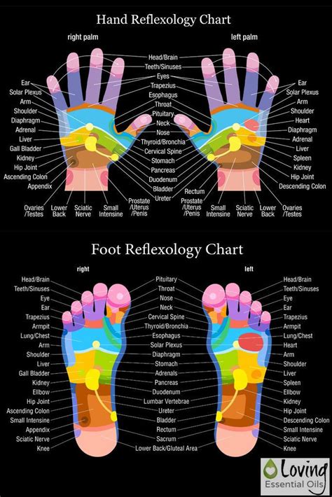 Hand And Feet Reflexology Chart