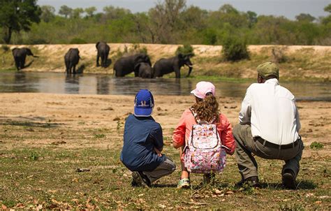 South Africa Family Holidays 2022/23 | Far and Wild Travel