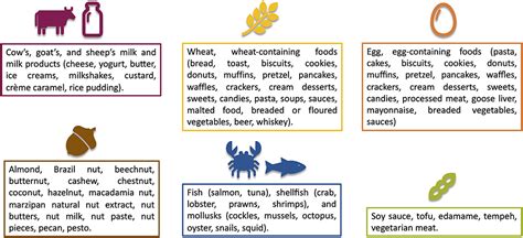 Frontiers | Diet Therapy in Eosinophilic Esophagitis. Focus on a ...