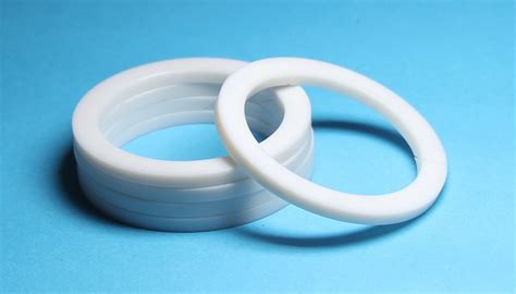 Application of PTFE Back up Ring