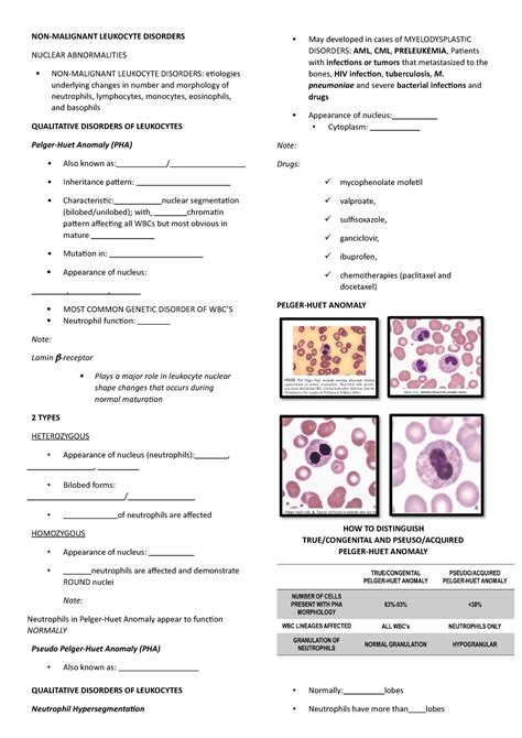 WBC- Morpho - Leukocyte Abnormalities - Non-Malignant Disorders - LEUKOCYTE DISORDERS May ...