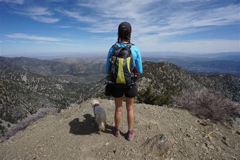 12 Must-Do Hikes in the San Gabriel Mountains - GPS Dog Trails