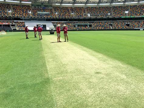 GABBA Pitch 24 hours before the Ashes Start : Cricket