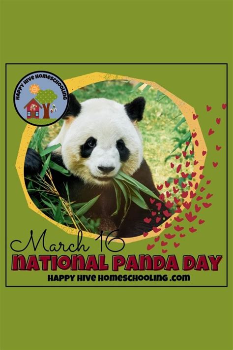 NATIONAL PANDA DAY - Happy Hive Homeschooling