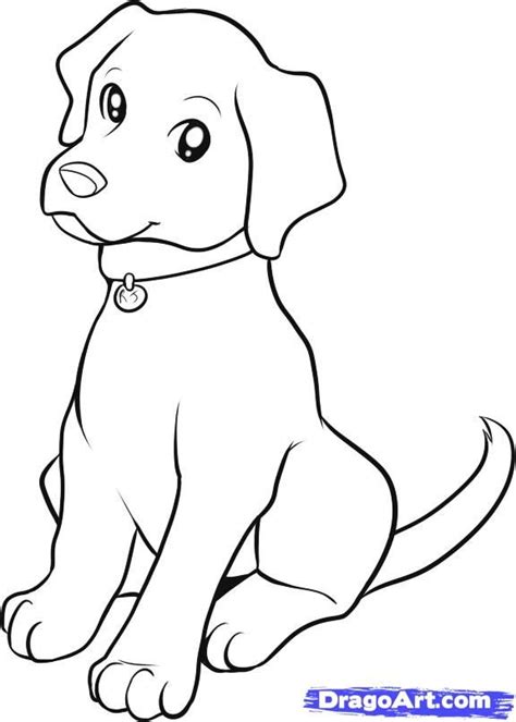 How to draw | Dog drawing for kids, Puppy coloring pages, Dog coloring page