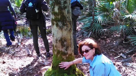 Hike explores Florida Wildlife Corridor