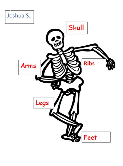 Label the Skeleton Bones | K-5 Computer Lab | Skeleton for kids ...