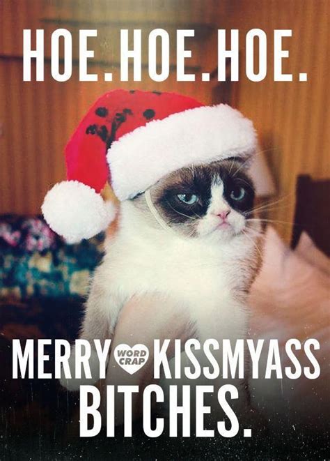 Funny Christmas Cat Memes - memestund