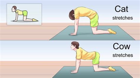 ab warm up stretches > OFF-70%