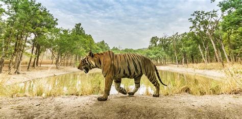 Tamil Nadu's 18th Wildlife Sanctuary Opens in Erode