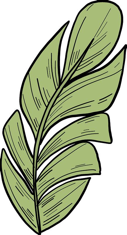 Palm leaf clipart. Free download transparent .PNG | Creazilla