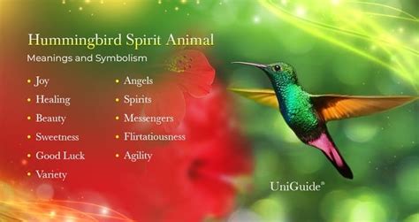 Hummingbird Symbolism, Meanings & The Hummingbird Spirit Animal (2022)