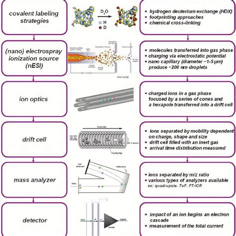 (PDF) ChemInform Abstract: Mass Spectrometry Based Tools to Investigate Protein-Ligand ...