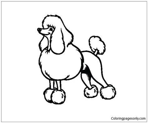 Poodle Puppy Coloring Page - Free Printable Coloring Pages