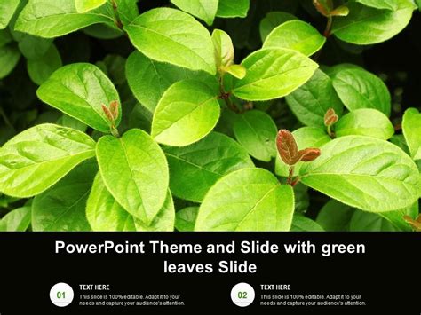 Powerpoint Theme And Slide With Green Leaves Slide | Presentation Graphics | Presentation ...