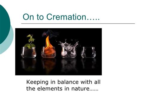 The Comparison Process Of Cremation Vs Alkaline Hydrolysis