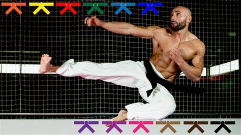 Taekwondo Belt Levels and Ranking Guide | MiddleEasy