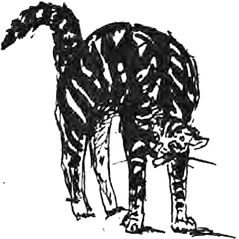 Fichier:Chat faisant le dos rond, dessin de Mérimée.png — Wikipédia