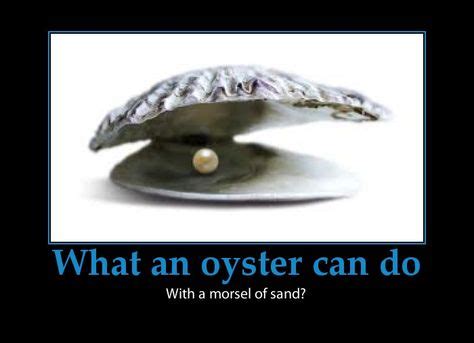 Oyster Jokes and One Liners ~ AAW SHUCKS | Oysters, Funny quotes, Pearl ...