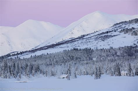 Winter in Alaska | Photos by Ron Niebrugge